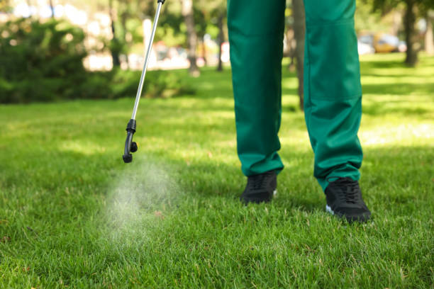 Best Exterminator Services  in Corbin, KY