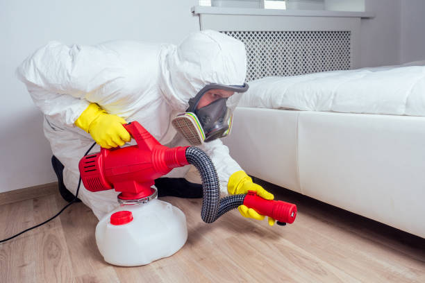 Best Residential Pest Control  in Corbin, KY