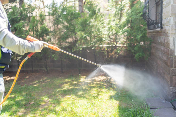Best Best Pest Control Companies  in Corbin, KY