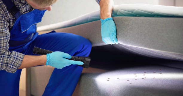Best Residential Pest Control  in Corbin, KY