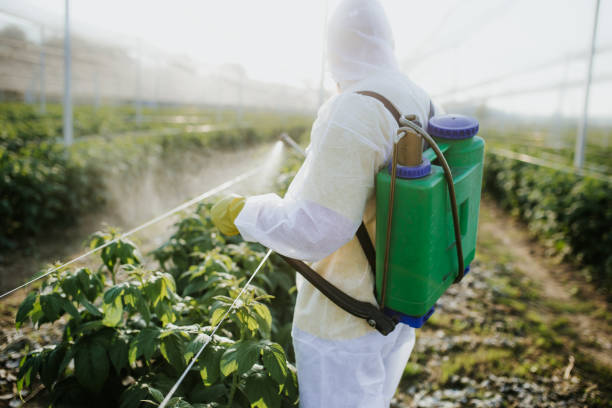 Best Pest Control Near Me  in Corbin, KY